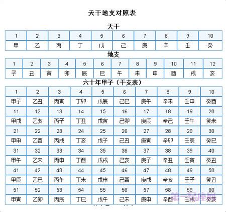 2024 天干地支|2024年甲辰龙年命理天干地支月份划分